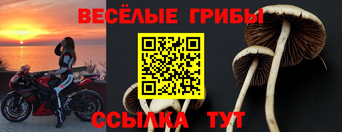 Псилоцибиновые грибы Cubensis Усть-Илимск